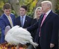 Trump pardons Thanksgiving turkeys Drumstick and Wishbone