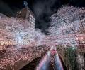 From lava spewing to pink blossoms: Nat Geo kicks off travel photo contest