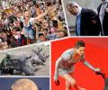 Best moments 2018: Bull runs, royal weddings, supermoons!