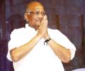 Administering Gujarat and the country are two different things: Pawar