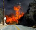 California devastated by deadliest fire in history