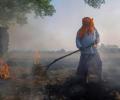 Why Punjab, Haryana farmers are defying ban on stubble burning