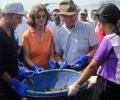 Swedish royal couple clean up Mumbai's Versova beach