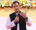 Intolerance, anger reign supreme in India: Rahul