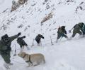 2 more bodies found at Ladakh avalanche site, death toll rises to 7