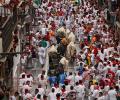 Running with the bulls: Defying death!