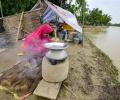 Rains kill 7 in NE, over 4 L affected in Assam floods