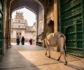 Jaw-dropping pictures from National Geographic's travel photo contest