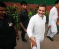 For Rahul, this election was win some, lose lots