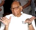 Mandate to sit in opposition but...: Pawar after meeting Sonia