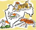 Maharashtra's Jungle Book: The Tiger, Hyena, Elephant, Fox