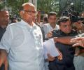 Amid Maha drama, BJP MP meets Sharad Pawar