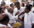 Bypolls won, AIADMK may pad up for local body polls