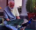 Modi posts video of him feeding peacocks