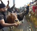 Day 7 of protests: More farmers converge on Delhi borders