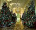 'America the Beautiful': Melania unveils last Christmas decorations in White House