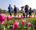 Rashtrapati Bhavan's Mughal Garden is in full bloom