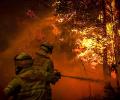 Horror of Australia's wildfires emerge