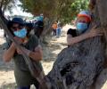 In Israel, people hugging trees to beat Covid-19 blues