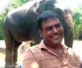 Bihar man wills half of his property to 2 elephants