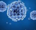 Sunlight, heat and humidity weakens coronavirus: US