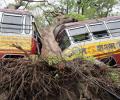 Death toll in Bengal due to Cyclone Amphan rises to 80