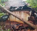 3 killed, over 1,000 trees uprooted as Cyclone Nivar hits TN