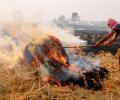 18% of Delhi's air pollution due to stubble burning