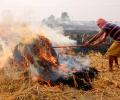 SC constitutes committee to monitor stubble burning