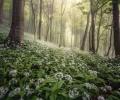 Landscape Photographer of the Year: Stunning photos across UK