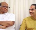 Will Pawar ditch Uddhav after May 2?