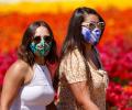 Americans can now go outside without a mask: CDC