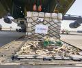 COVID-19: France, US deliver oxygen supplies to India