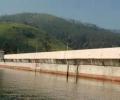 SC to hear petitions on Mullaperiyar dam on Dec 15