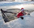 Why Are They Swimming In Icy Cold Waters?