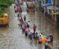 Rains pick up again in Mumbai; local train services affected