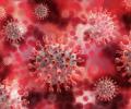 Autopsies show Covid virus lingers in body parts for months: Study