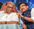 'Bal Thackeray too...': Raut on Sharad Pawar's resignation