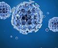 Novel coronavirus jumped from bats to humans: Scientists