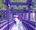 South Korean island paints the town purple to attract visitors