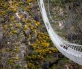 The longest pedestrian bridge is now open and it's frightening