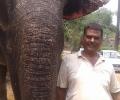 Bihar man who gifted property to elephants killed