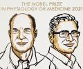 David Julius, Ardem Patapoutian jointly win Nobel Prize for Medicine