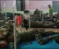 26 ITBP jawans fall ill after eating food at camp in Chhattisgarh