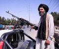 Can the Taliban Survive?