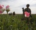 How the US Lost the Opium War in Afghanistan