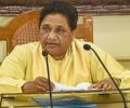 Put your own house in order: Mayawati's counter to Rahul