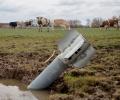 Ukraine: Cows and Rockets!