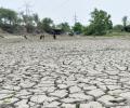 World Bank report warns of heatwaves beyond endurance in India