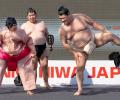 Japan's Sumo Wrestlers In India!